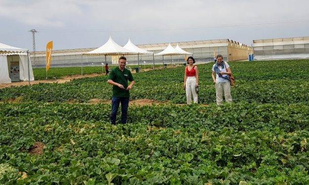 En Nunhems el Business Event For Experts de Cartagena muestra la gama de variedades de sandía y nuevos melones