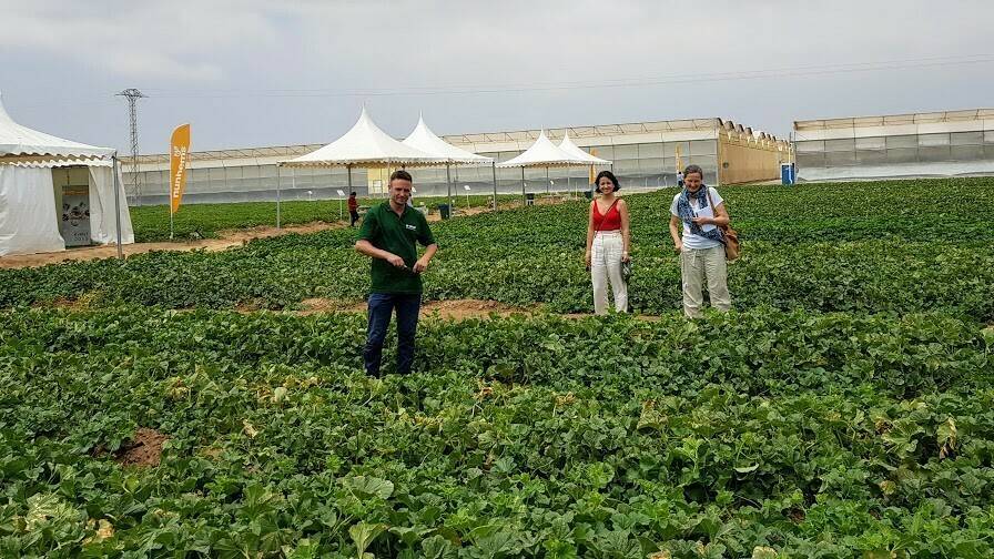 En Nunhems el Business Event For Experts de Cartagena muestra la gama de variedades de sandía y nuevos melones