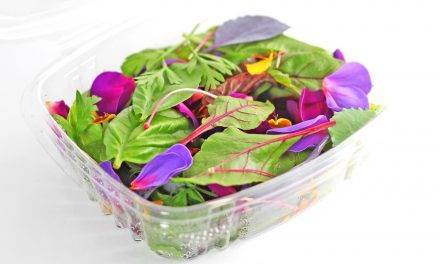 Las especialidades en la horticultura