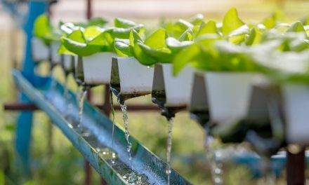 Quality of irrigation water: How to measure conductivity?