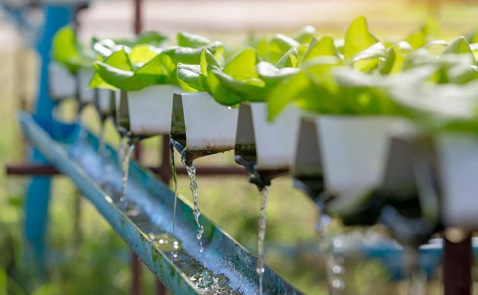 Quality of irrigation water: How to measure conductivity?