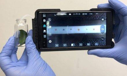 Portable Technology Sniffs Out Plant Disease in the Field