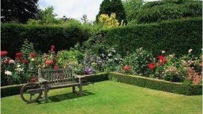 Entrevista a presidenta de la Asociación Española de Centros de Jardinería