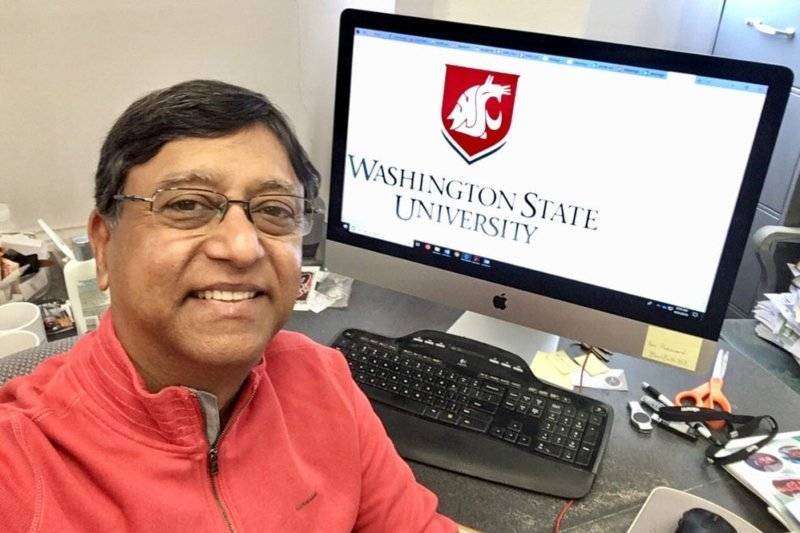 Light Could Be Key To protecting Crops From Costly Virus