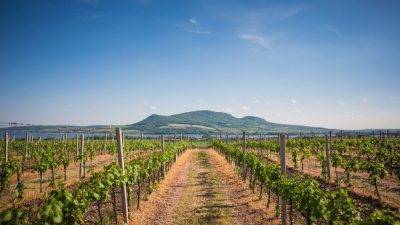 Fruit Attraction: Rovensa presenta la agricultura equilibrada