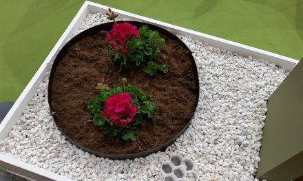 Borduras para formas circulares y macetas sostenibles