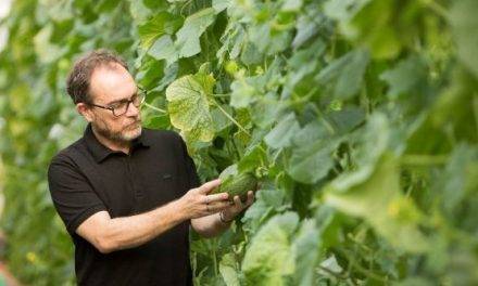 Investigación aporta herramientas para la mejora genética del melón