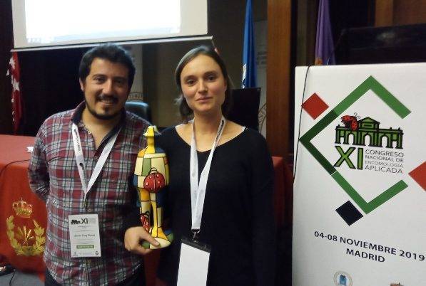 Premian estudio que permite identificar 3 psílidos del complejo Bactericera