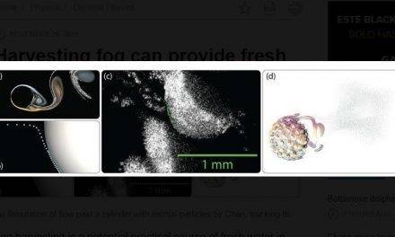 Fresh water in desert regions through fog harvesting