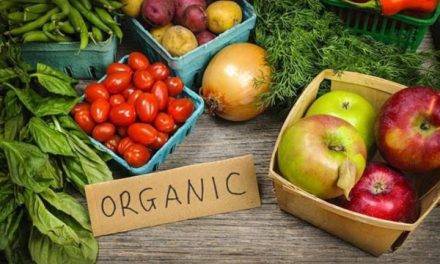 Seminario para fomentar la producción y el consumo de productos ecológicos