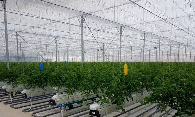 INTA: Fertirrigación y Clima