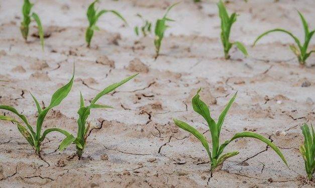 Falta agua