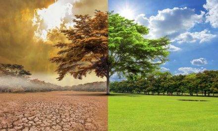 Truco de las plantas para adaptarse al cambio climático