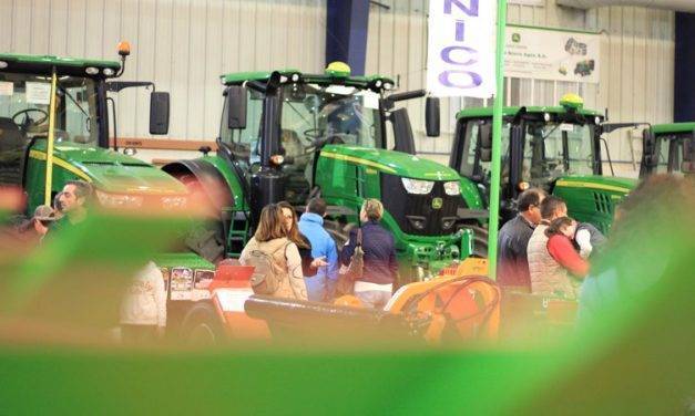 El cultivo de frutos secos crece en Extremadura