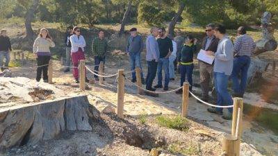 Red de investigación en gestión forestal para mitigar el impacto del cambio climático