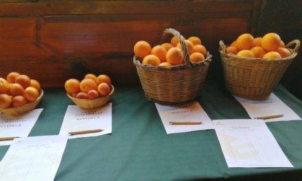 Soluciones biotecnológicas para cítricos