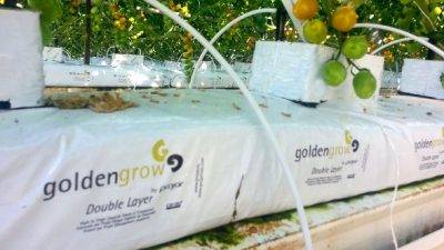 Sustratos a medida para la producción hidropónica según el tipo de cultivo, el clima y el nivel de tecnología