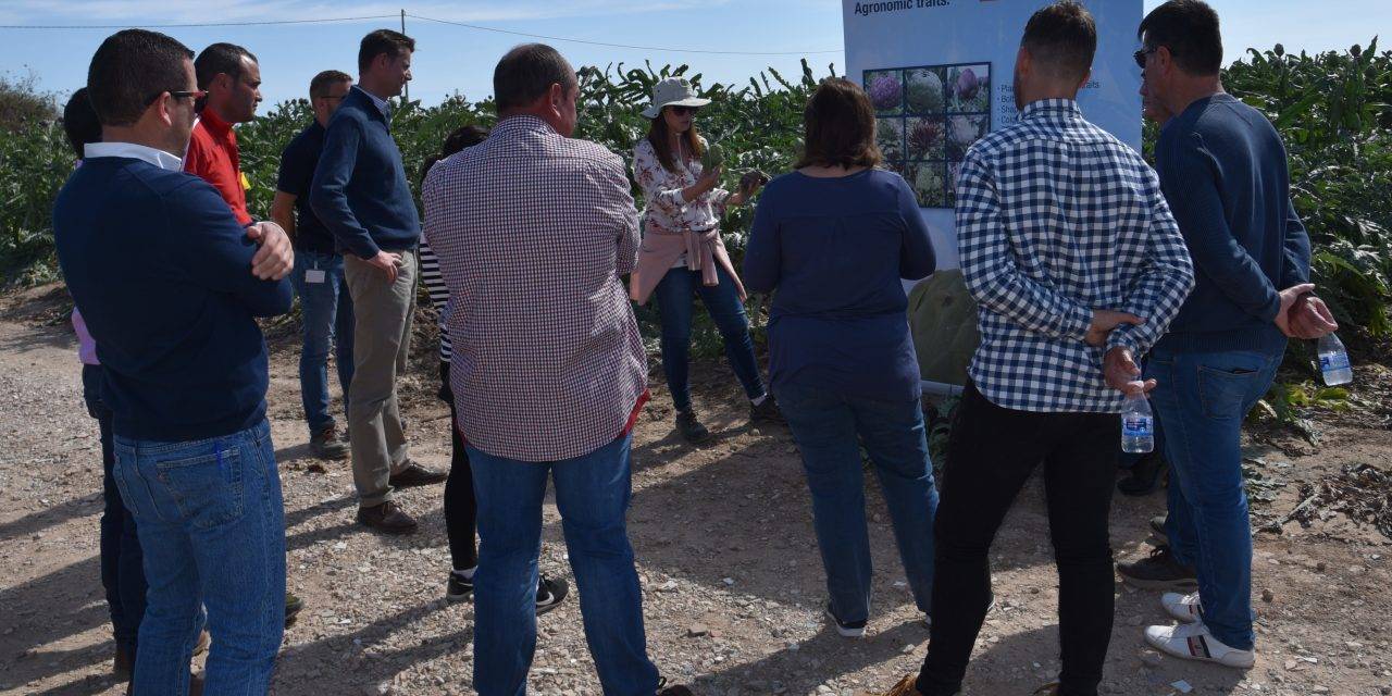 Nunhems y las tendencias globales en el consumo de alcachofa