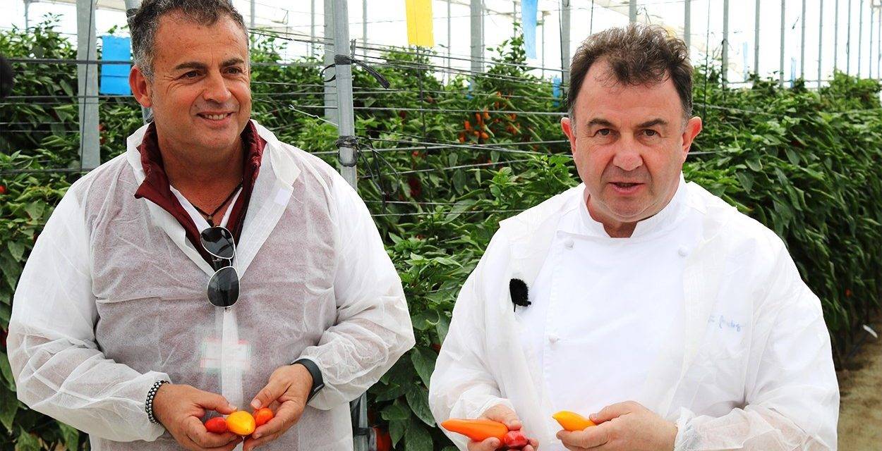 Famoso chef visita el Centro de Investigación de Sakata en Vícar