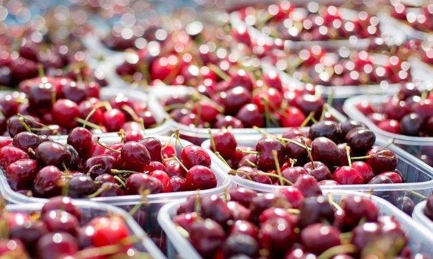 Europa se preocupa por su cosecha de hortofruta