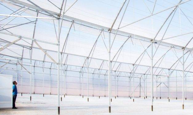 Los invernaderos tecnológicos en la horticultura moderna