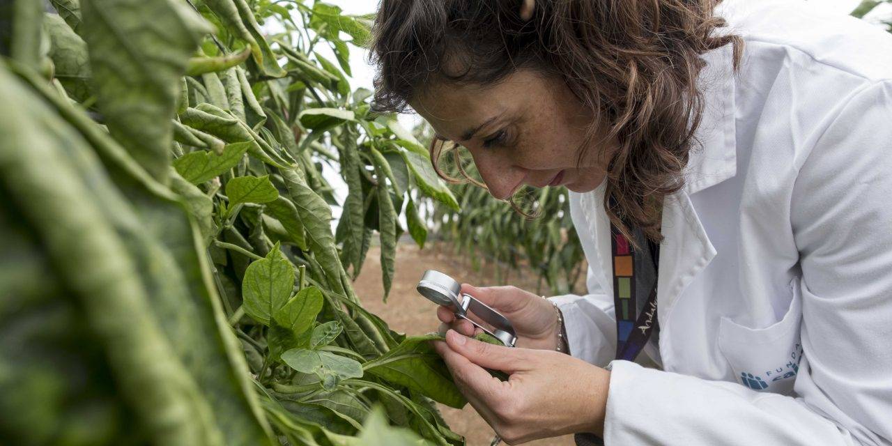 Fundación Cajamar en el consorcio SmartProtect para la gestión eficiente de plagas