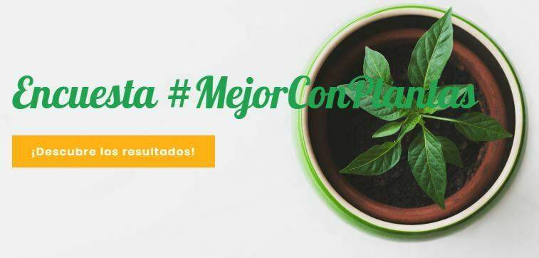 La iniciativa #MejorConPlantas para dar apoyo al sector ornamental gravemente perjudicado por la crisis del Covid-19