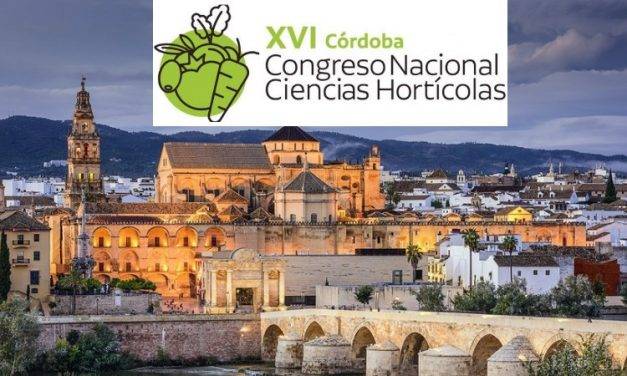 El XVI Congreso de la SECH se celebrará en Córdoba en 2021