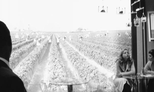 El desafío rural en la Agenda 2030