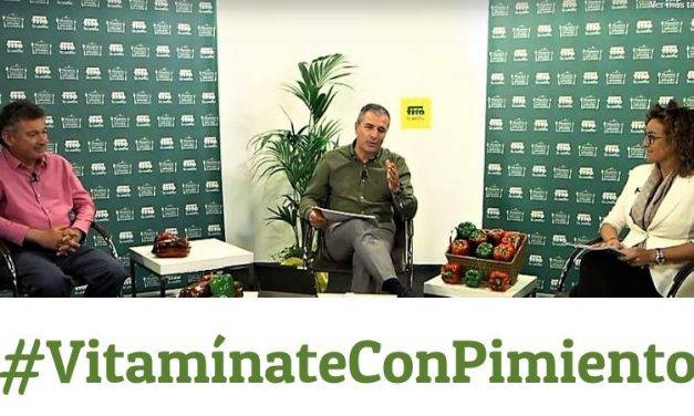 Entre Fitó y Proexport, una iniciativa para crear valor de los pimientos de primavera verano