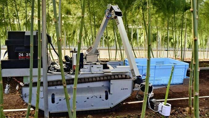 Empresa japonesa desarrolla robot autónomo para recolección de verduras en invernadero