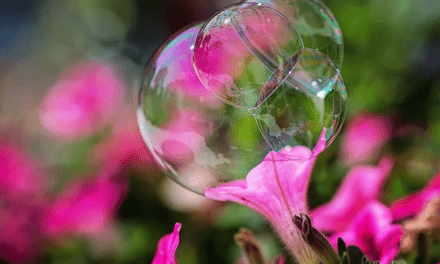 Burbujas de jabón podrían reemplazar la labor de polinizadores