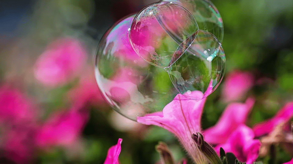 Burbujas de jabón podrían reemplazar la labor de polinizadores