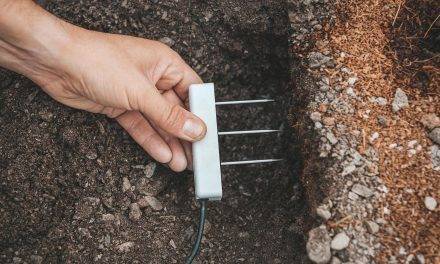 Projar estudia el manejo del riego en fibra de coco mediante equipos de alta tecnología