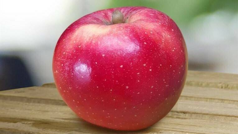 Disponible la primera variedad de manzana para afrontar el cambio climático