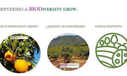 La transición hacia la sostenibilidad