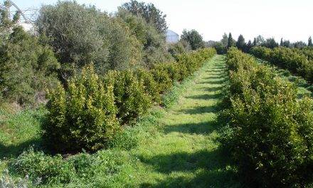 Pospuesta la aplicación del nuevo Reglamento Europeo para la Producción Ecológica a 2022