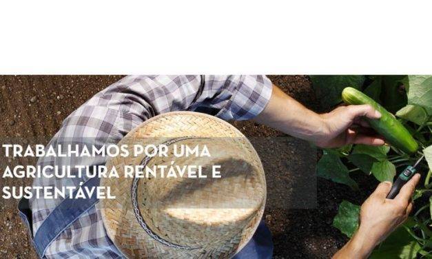 Fitó estrena una web en Portugal