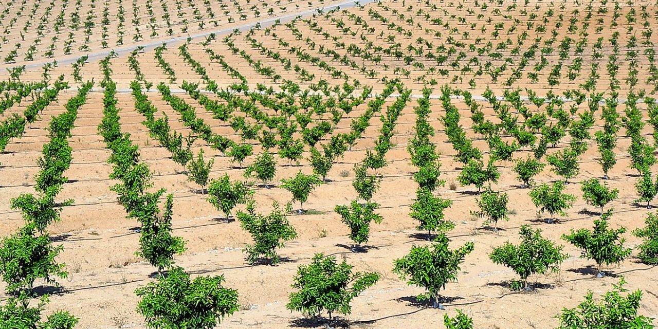 Agronutrientes y bioestimulantes cumpliendo con la legislación actual