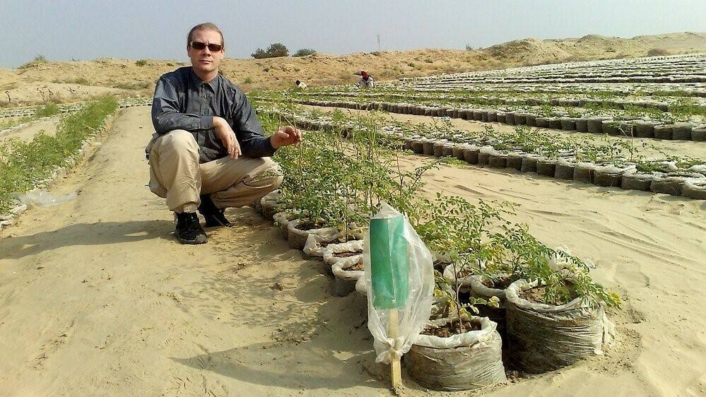 Huertas en el desierto, algo posible gracias a nanoarcillas