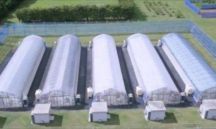 Horticultura en invernaderos a prueba de tifones