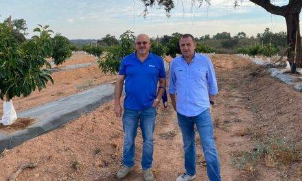 Reducción de hasta el 50% del aporte de nitratos con el uso de NHDelta de Ecoculture