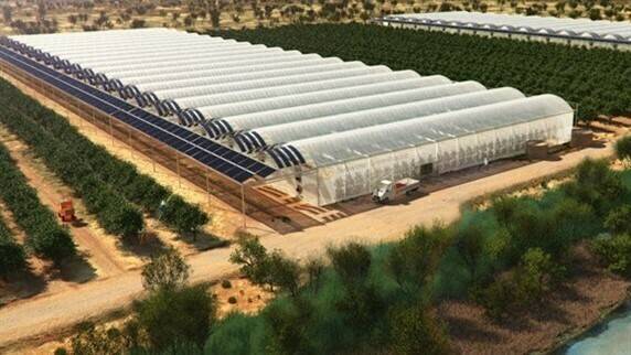 Horticultura en el desierto africano