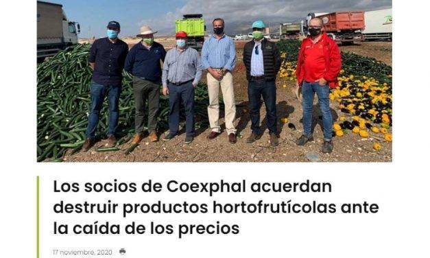 Tirar la comida y hacerse una foto no me parece una buena idea