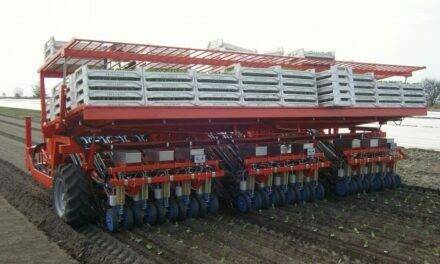 Trasplantadora ROTOSTRAPP, diseñada para hortalizas de hoja y otras verduras