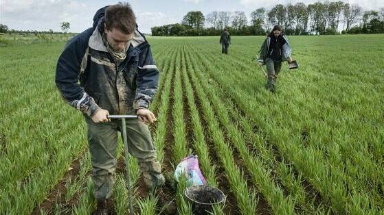 The actualization of a carbon market in Europe is likely years away