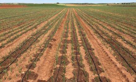 En el día mundial del agua, una pausa para reflexionar…