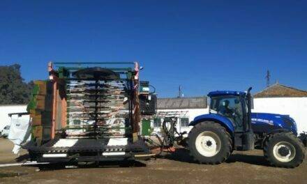 Cítricos: nueva alternativa de recolección mecanizada