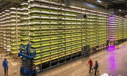 Producción de arándanos en granjas verticales por AeroFarms & Hortifrut