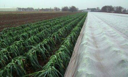 Arrigoni Arricover: crop protection from spring frosts